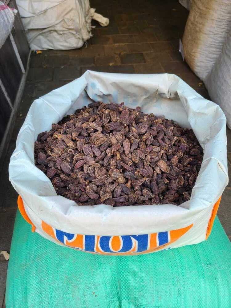 Black cardamom