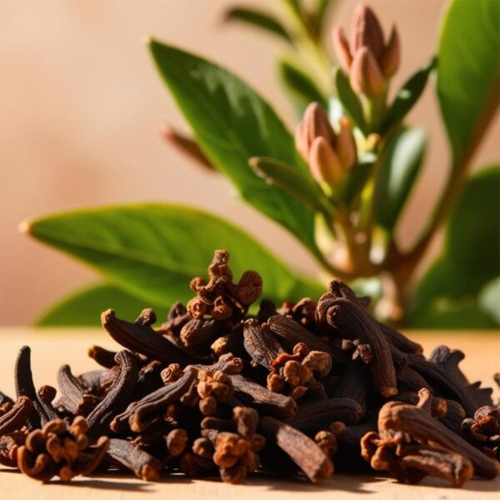 Black Cloves