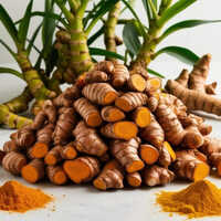 Raw Turmeric Finger