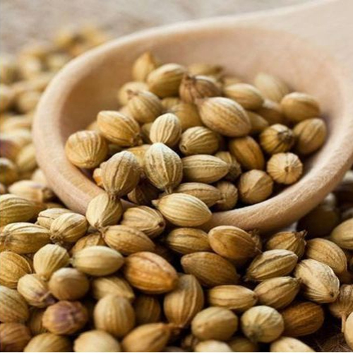 Coriander Seeds - 99% Purity, Yellow Color | Raw Food-Grade Spice with 12-Month Shelf Life, Ideal for Culinary Applications