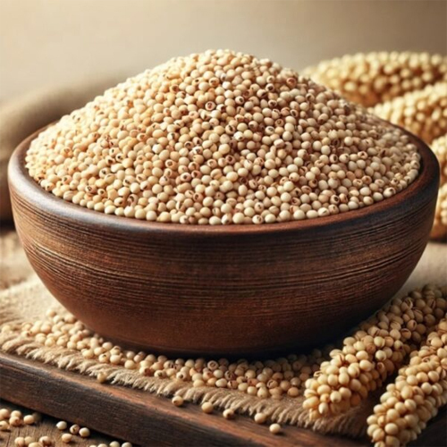 Indian Jowar