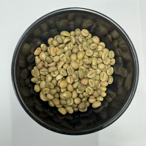 Robusta Parchment Coffee Beans
