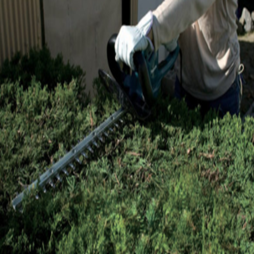 Hedge Trimmer UH 4621