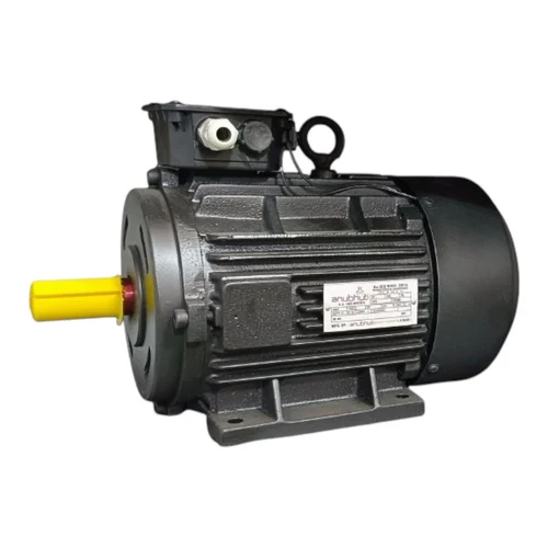 Induction Electric Motor