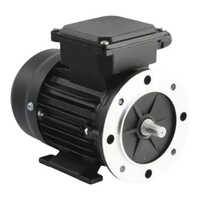 Three Phase Electric Induction Motor