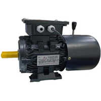 Ac Dc Electric Brake Motor