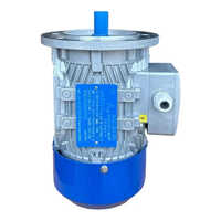 Low Voltage Motor