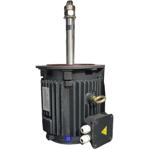 Cast Iron Three Phase Cooling Tower Motor