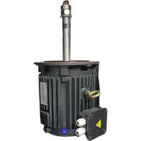 Cast Iron Three Phase Cooling Tower Motor
