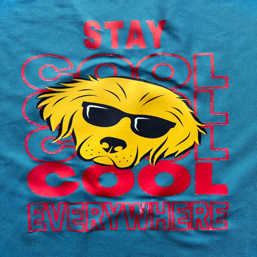 Boys Tshirts