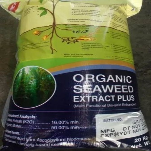 Organic Seaweed Extract Powder