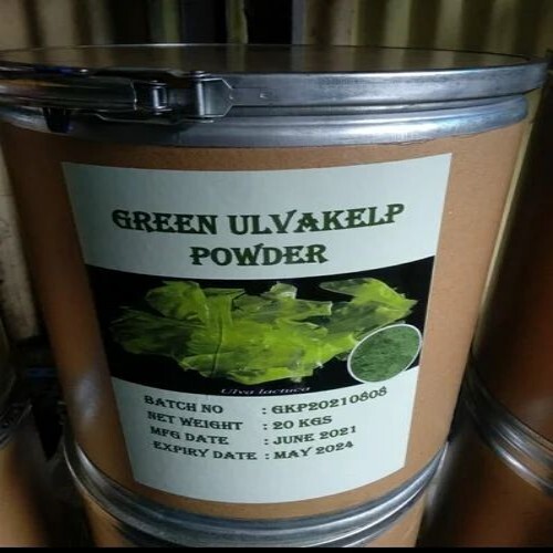 Green Seaweed Extract Powder
