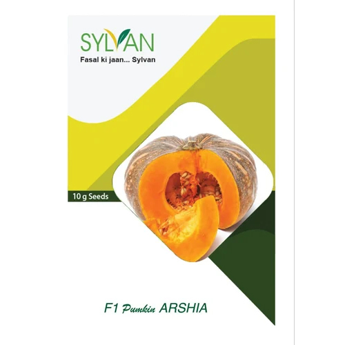 Hybrid Pumpkin Seed