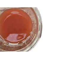Anti Termite Chemical