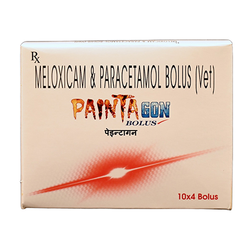 Meloxicam And Paracetamol Bolus