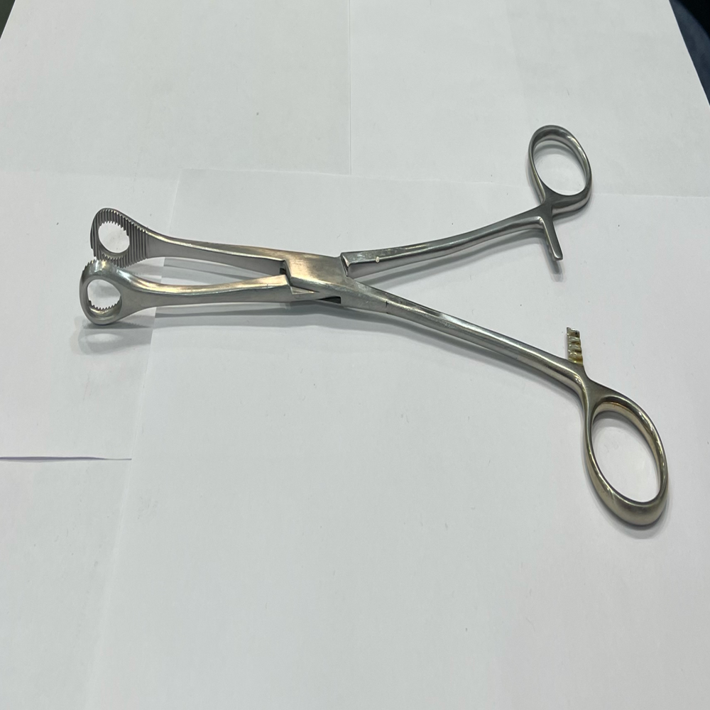 Sponge Holder/ Holding Forceps Straight/curved 8" - Application: Veterinary Purpose