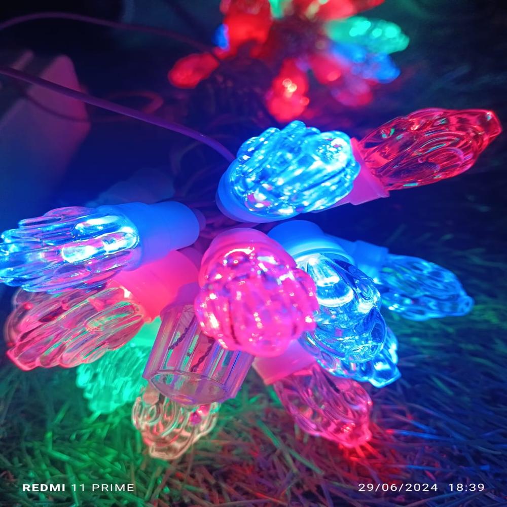 Ganpati Lights