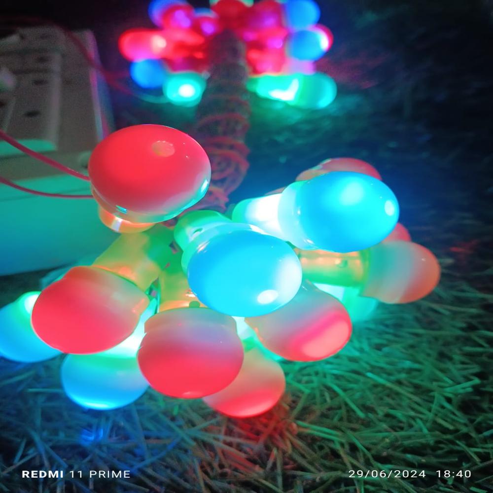 Ganpati Lights