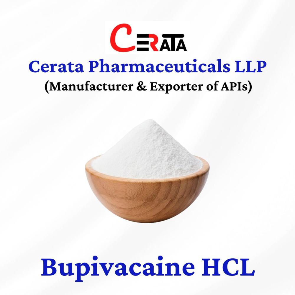 Bupivacaine Hcl Api Powder Usp - Cas No: 18010-40-7