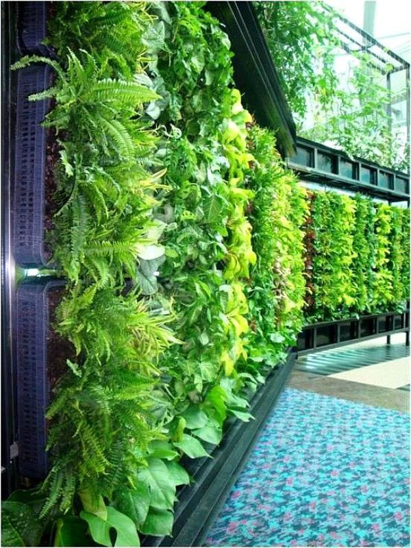Vertical Garden Manufacturer in India