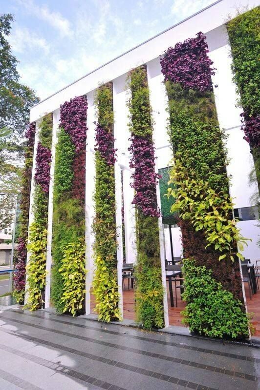 Vertical Garden Manufacturer In India