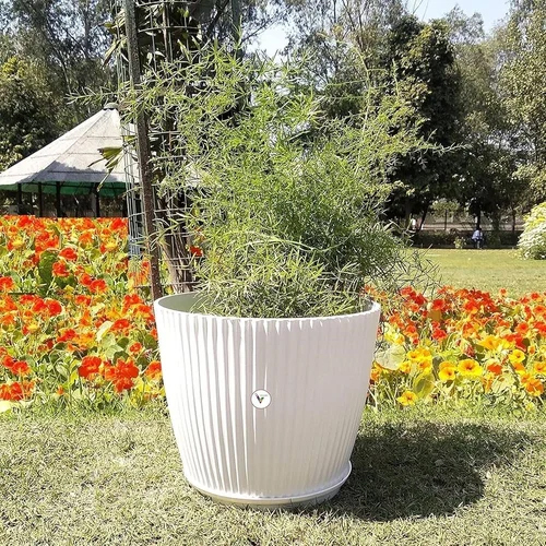 Garden White Pots