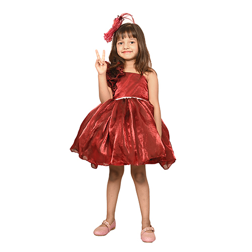 Girls Maroon Tulle Party Dress