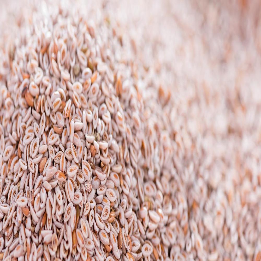 ISABGOL SEEDS