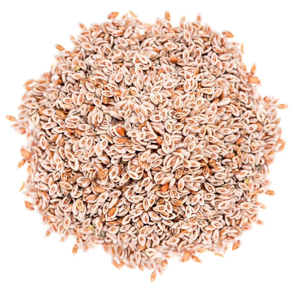 ISABGOL SEEDS