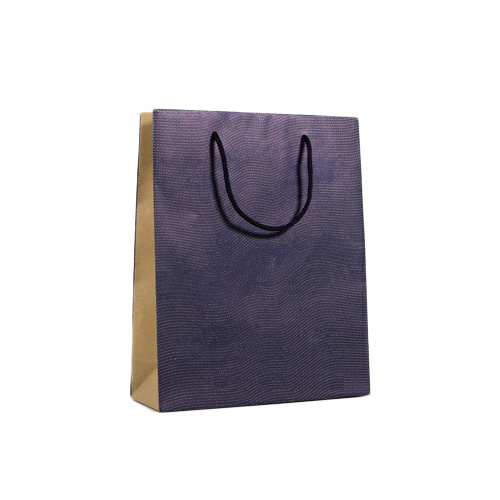 Multi Colour Paper Bag