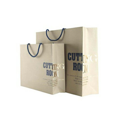 Multi Colour Paper Bag - Size: Standard