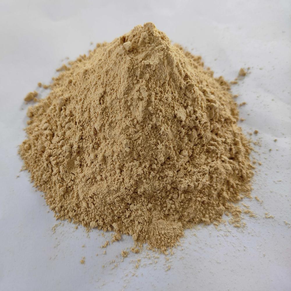 Dehydrated Ginger Powder - Dehydration Method: Normal