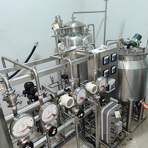 500 LPH RO Plus EDI System