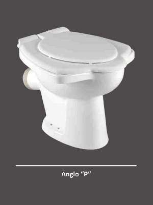 Anglo Indian 