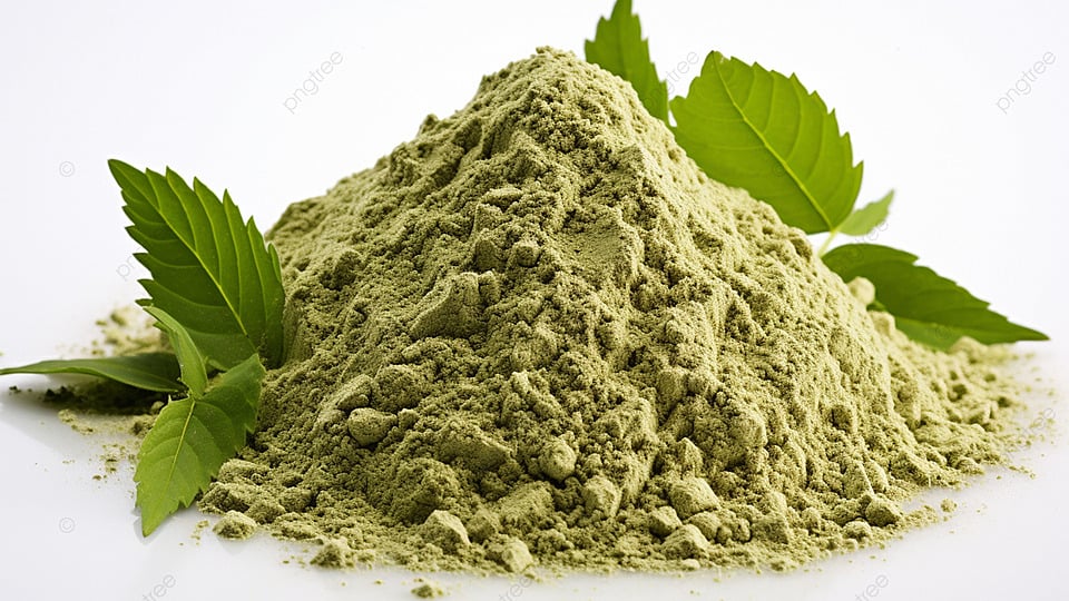 Dehydrated Curry Leaves Powder