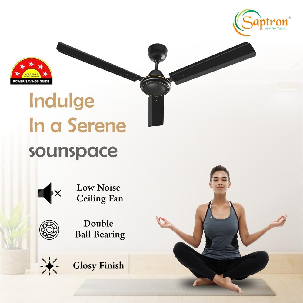 Bldc Ceiling Fan - Mild Steel Blades, 1200 Mm Size, Black Color, 28w Power, 7 Speed Remote Control | 5-star Energy Efficient, Ceiling Installation