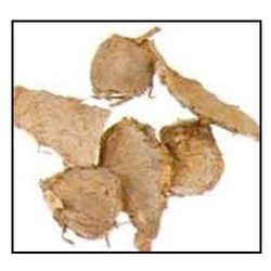 कपूर कच्चरी तेल