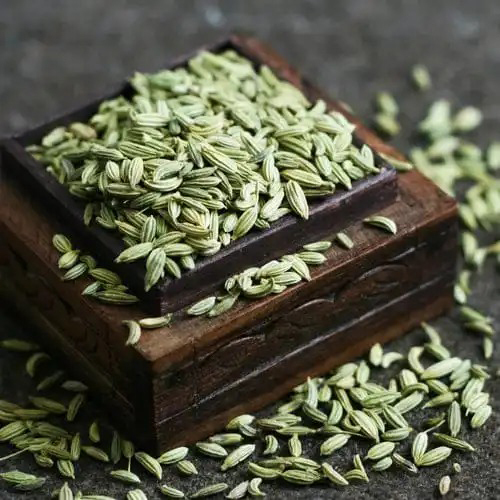 Fennel Seed