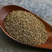 Horse Gram - Grade: Food Grade