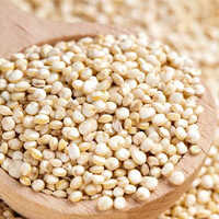 Quinoa Seeds