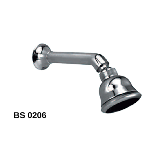 BS 0206 ECO 206