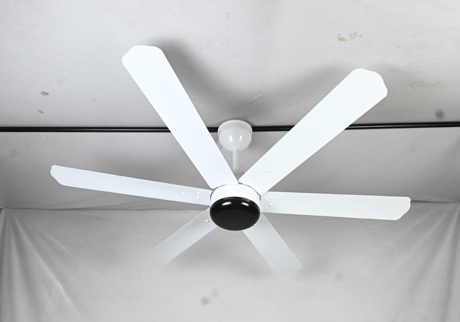 6 Blade  BLDC  Ceiling Fan