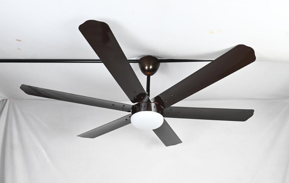 6 Blade  BLDC  Ceiling Fan