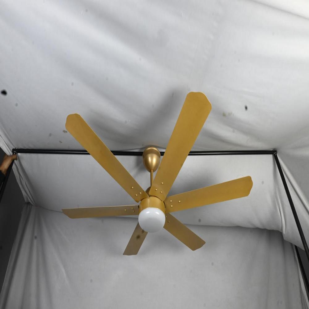 6 Blade  BLDC  Ceiling Fan
