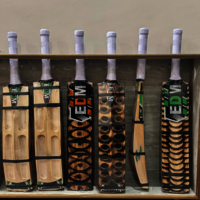 Kashmir Willow Bat D/B Scoop