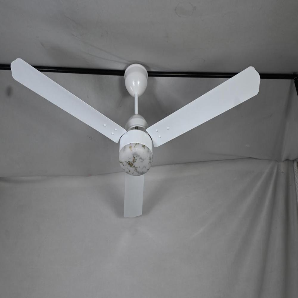 White Bldc Ceiling Fan
