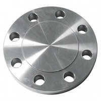 Cs A105 Blrf Flanges - Color: Silver / Grey