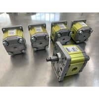 Unidirectional Hydraulic Pumps