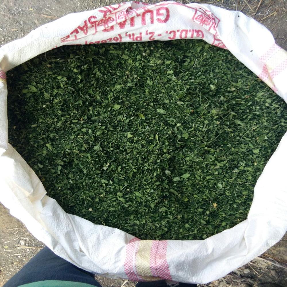 Organic Moringa Oleifera Leaves Powder