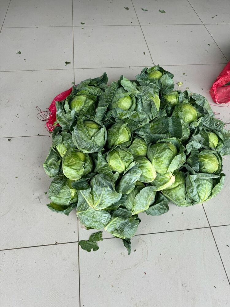 Natural Cabbage